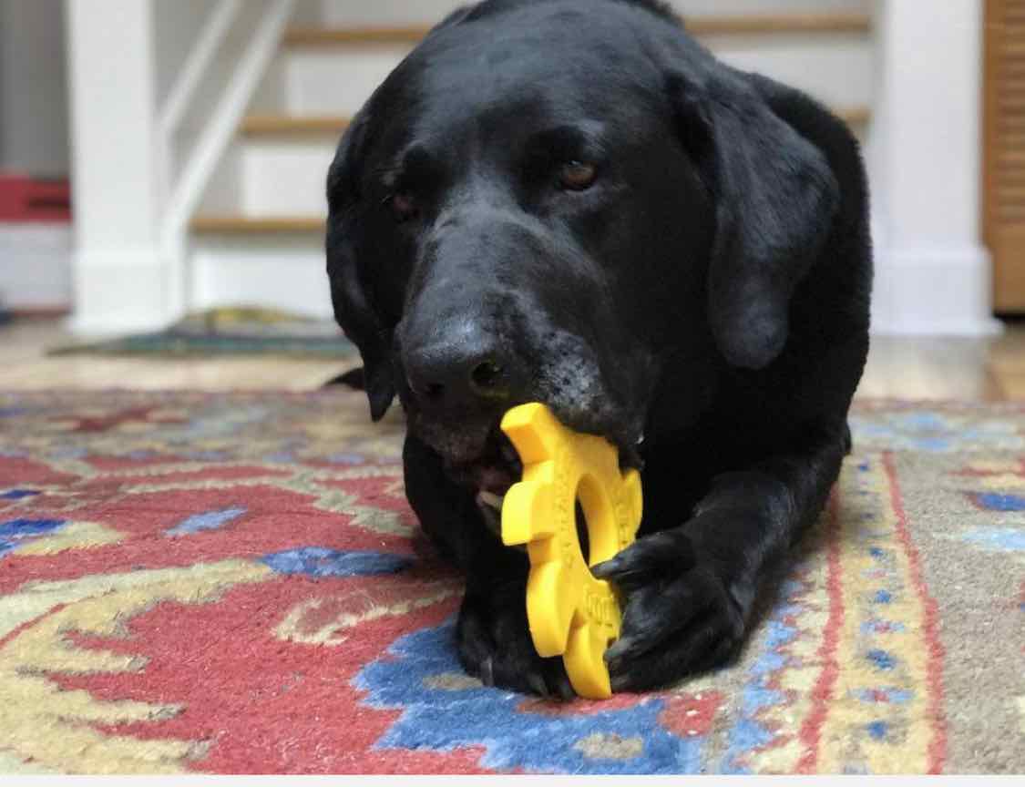 Ultra Durable Nylon Dog Chew Toy