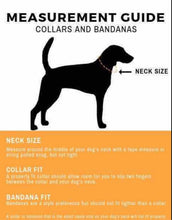 Load image into Gallery viewer, Martingale Dog Collar - 1.5&quot; Large - Geometric
