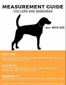 Martingale Dog Collar - 1.5" Large - Geometric