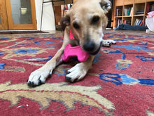 Load image into Gallery viewer, BONE ULTRA DURABLE NYLON DOG CHEW TOY FOR AGGRESSIVE CHEWERS- PINK