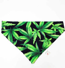 Load image into Gallery viewer, &quot;Green Maple Leaf&quot; - Dog Bandana - XS